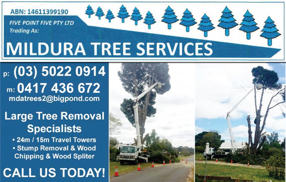 Mildura Tree Services - 0417 436 672

Tree Lopping - Mildura, Gol Gol, Wentworth, Irymple, Buronga, Merbein, Wentworth, Red Cliffs

Tree Loppers Mildura

Tree Removal Mildura 
